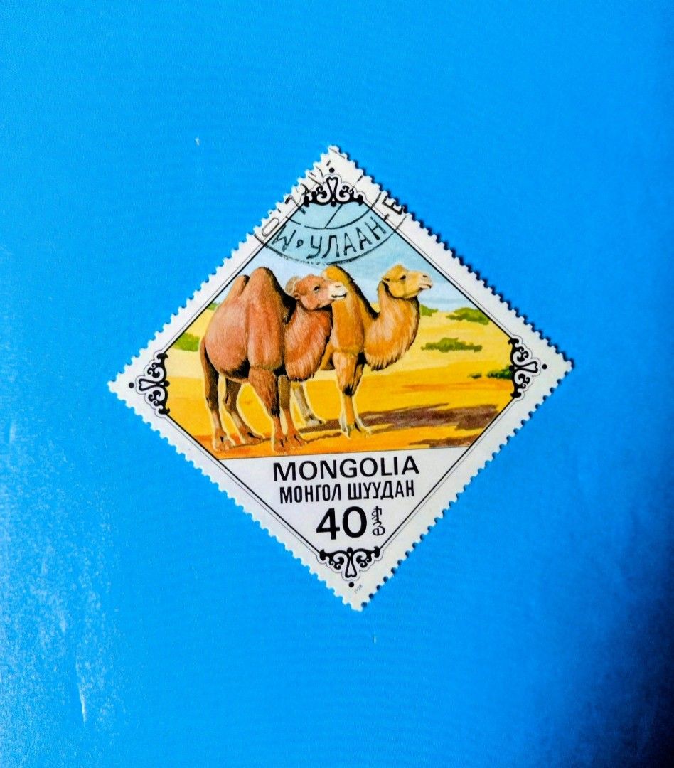 Mongolia 1978 : Bactrian ( Two-Humped ) Camels , 1 v. , used (Category: Stamps & Prints) located in Quezon City. Submitted by yesteryearscorner (Listing ID 1467846969, Image 1). Description: - Origin: Mongolia - Subject: Two Bactrian camels in a desert landscape - Face Value: 40 mung .