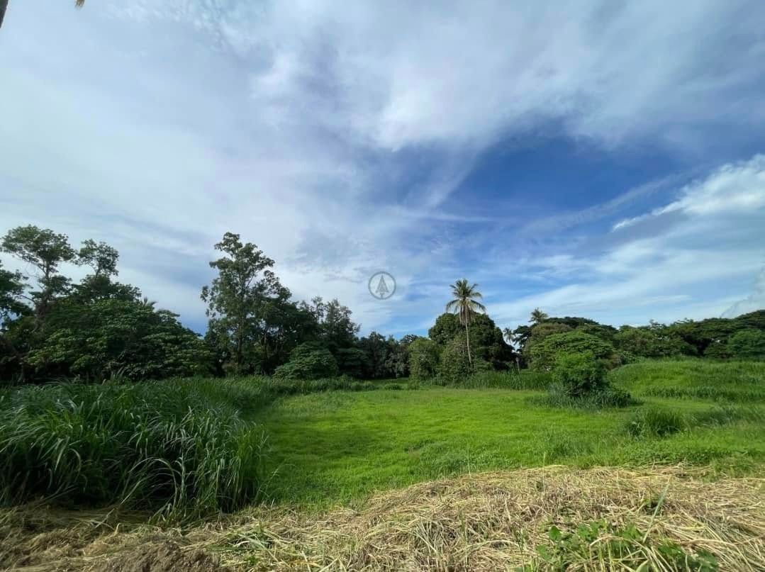 MONTECITO NUVALI Greenway Single-Loaded lot (Category: Lot) located in Makati City. Submitted by jpborjarealestatebroker (Listing ID 1467945527, Image 2). Description: (Code: FS-16) Montecito Nuvali * Lot Area: 990 sqm * Facing Southeast * Greenway Lot, Single-Loaded * Perimeter Lot, Not Tumbok * Clean Title * Selling Price: PHP 59,400,000 (PHP 60,000/sqm) 📣 Other lots in the Nuvali area available upon inquiry! Inquire now! 0939 973 6041 Jose Pa