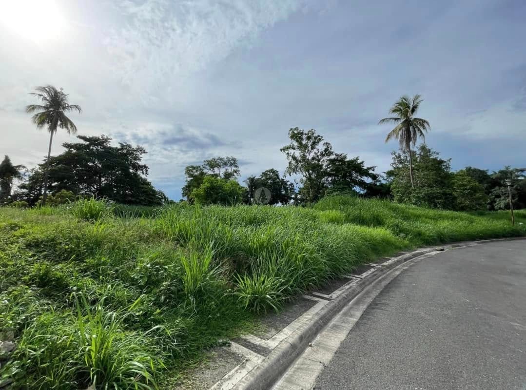 (Category: ) located in . Submitted by jpborjarealestatebroker (Listing ID 1467945527, Image 1). Description: .