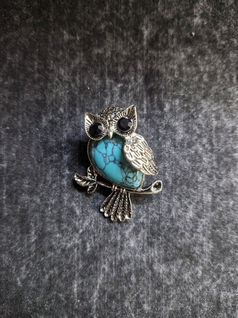 Night Owl Brooch 2 (Category: Brooches) located in Taguig. Submitted by mommaschoice (Listing ID 1467962839, Image 1). Description: Brand new Unisex use Silver-tone finish Adorned w/faux tourquise stone Lightweight won't damage the fabric Ships nationwide.