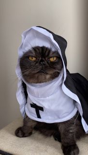 (Category: ) located in . Submitted by meowketplace (Listing ID 1467985684, Image 1). Description: .