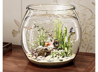(Category: ) located in . Submitted by spinthwheels (Listing ID 1467868097, Image 1). Description: .