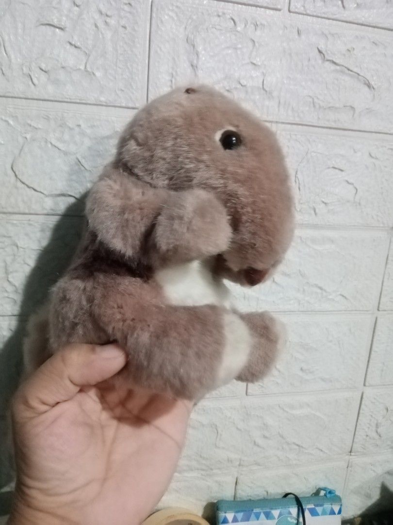 Plush toy (Category: Kids Toys) located in Caloocan City. Submitted by 4kidsstore (Listing ID 1468053042, Image 2). Description: .