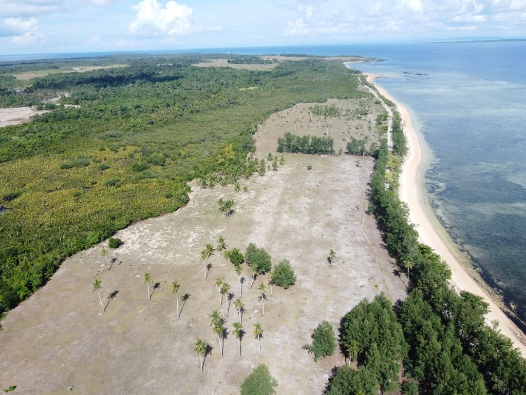 Prime Beachfront Land Plot with Ocean View (Category: Commercial) located in Caloocan City. Submitted by kuyanardz (Listing ID 1467882234, Image 2). Description: - Location: Quiet tropical setting with panoramic sea views - Property Type: Large coastal land plot with flat terrain - Features: Direct beach access, clear sandy shores, scattered coconut trees, and lush green jungle border - Accessibility: Road access runs right along the coastline - 