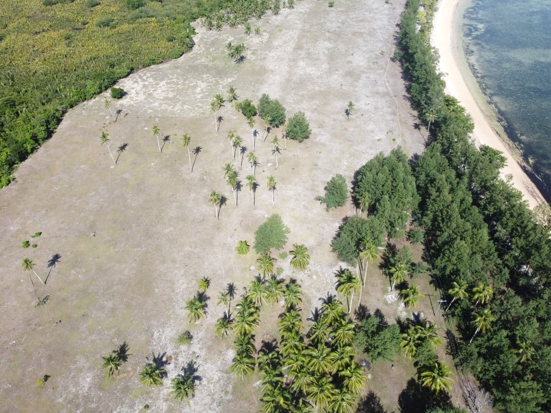 Prime Beachfront Land Plot with Ocean View (Category: Commercial) located in Caloocan City. Submitted by kuyanardz (Listing ID 1467882234, Image 3). Description: - Location: Quiet tropical setting with panoramic sea views - Property Type: Large coastal land plot with flat terrain - Features: Direct beach access, clear sandy shores, scattered coconut trees, and lush green jungle border - Accessibility: Road access runs right along the coastline - 