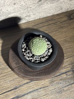 （分類：）位於 。 由 nikumachi 提交（商品編號 1467938444，圖片 1）。簡介： 。