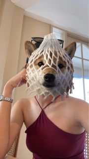 (Category: ) located in . Submitted by tigerleee (Listing ID 1468057712, Image 1). Description: .