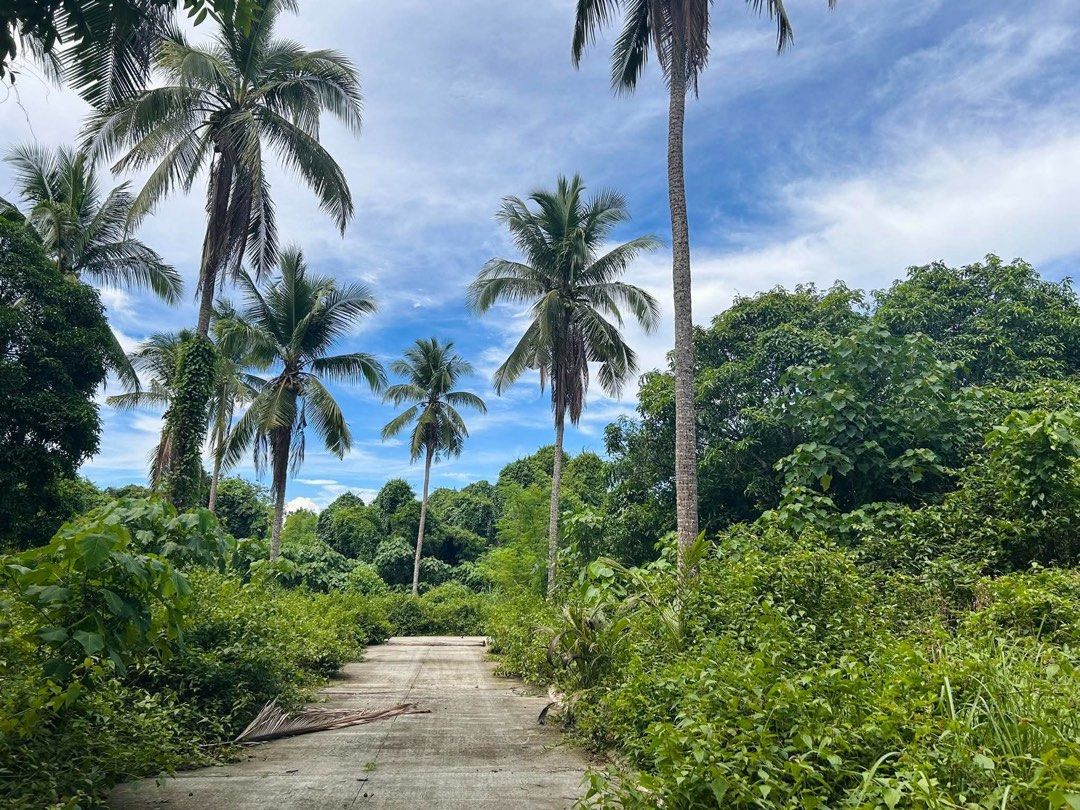 Residential Farm INdang (Category: Lot) located in Cavite. Submitted by trebor1217 (Listing ID 1467887212, Image 3). Description: 300 sqm residential farm located at Banaba Lejos Indang Cavite. Near Tagaytay, Indang Market, St Gregory Church and Cavsu Fully develop with road lots and drainage system. Water and electricity also available in the premises. Terms as follow: P1.2MM cash P1.4MM if installment. 30% DP balance payable in 3 years.