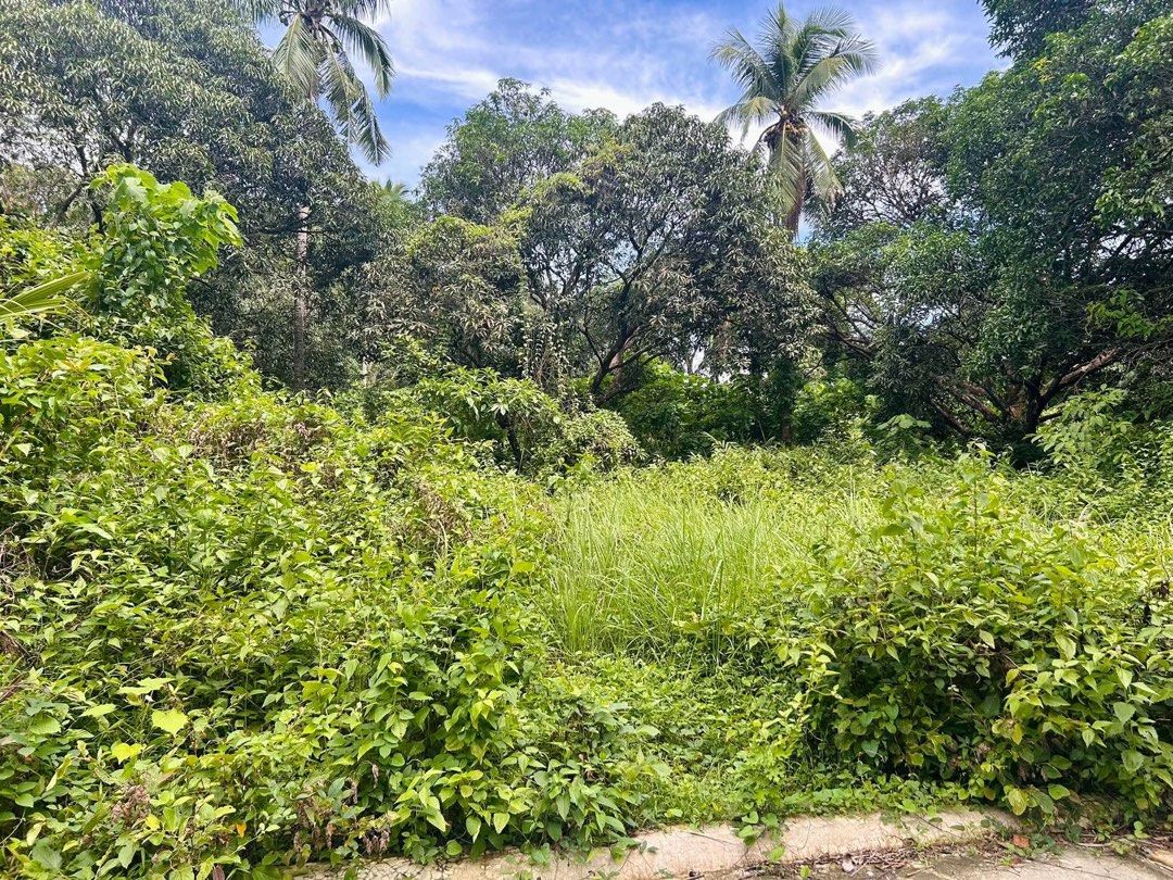 Residential Farm INdang (Category: Lot) located in Cavite. Submitted by trebor1217 (Listing ID 1467887212, Image 2). Description: 300 sqm residential farm located at Banaba Lejos Indang Cavite. Near Tagaytay, Indang Market, St Gregory Church and Cavsu Fully develop with road lots and drainage system. Water and electricity also available in the premises. Terms as follow: P1.2MM cash P1.4MM if installment. 30% DP balance payable in 3 years.