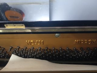 (Category: ) located in . Submitted by silentstar_b60160 (Listing ID 1467902108, Image 1). Description: .