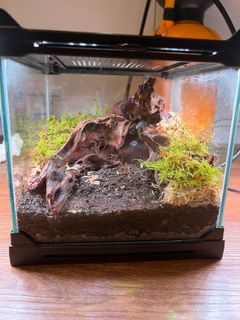 (Category: ) located in . Submitted by supersoil (Listing ID 1468129996, Image 1). Description: .