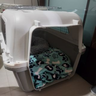 （分類：）位於 。 由 bebeauty 提交（商品編號 1468079079，圖片 1）。簡介： 。