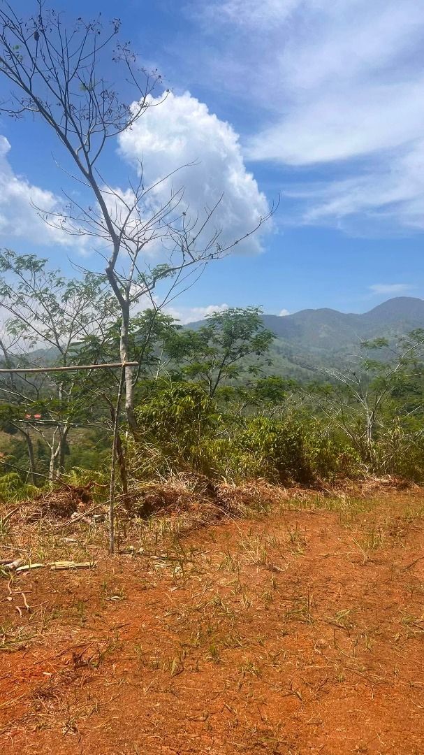 A House with free 200sqm. Lot (Category: House & Lot) located in Davao. Submitted by zealgem.98d8f0 (Listing ID 1468084336, Image 3). Description: 🏡 **INTRODUCING AHOUSE — YOUR DREAM HOME FOR ONLY ₱420,000!** Are you dreaming of having your own cozy home without spending millions? Meet **AHOUSE**, an A-frame house concept designed for people who want a simple, beautiful, and relaxing place to call their own. ✅ Affordable advertised price of ₱420