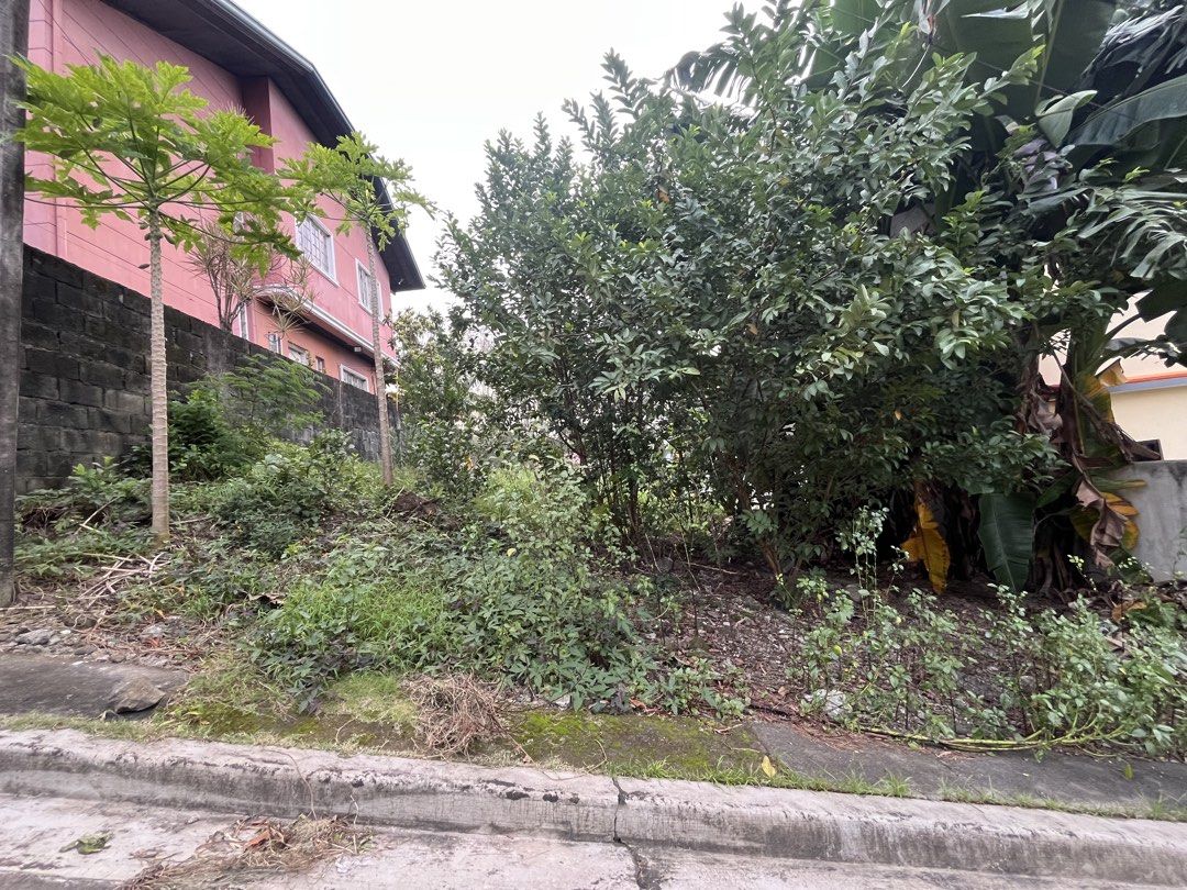 Affordable Summerhills Antipolo Property (Category: Lot) located in Mandaluyong City. Submitted by realestatebroker2 (Listing ID 1468136643, Image 2). Description: Lot area: 150 sqm Price per sqm: P17,000/sqm TCP: P2,550,000 Location: Summerhills, Antipolo * near palengke, Assumption Antipolo, Assumpta Hospital, Marcos Highway, Sumulong Highway A beautiful subdivision developed by Sta Lucia! Lot is relatively flat. With neighbors..