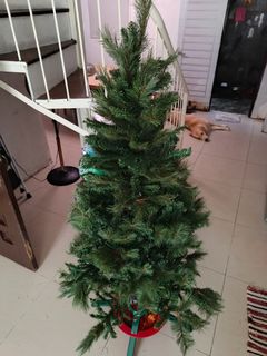 (Category: ) located in . Submitted by Jayofy (Listing ID 1468071557, Image 1). Description: .