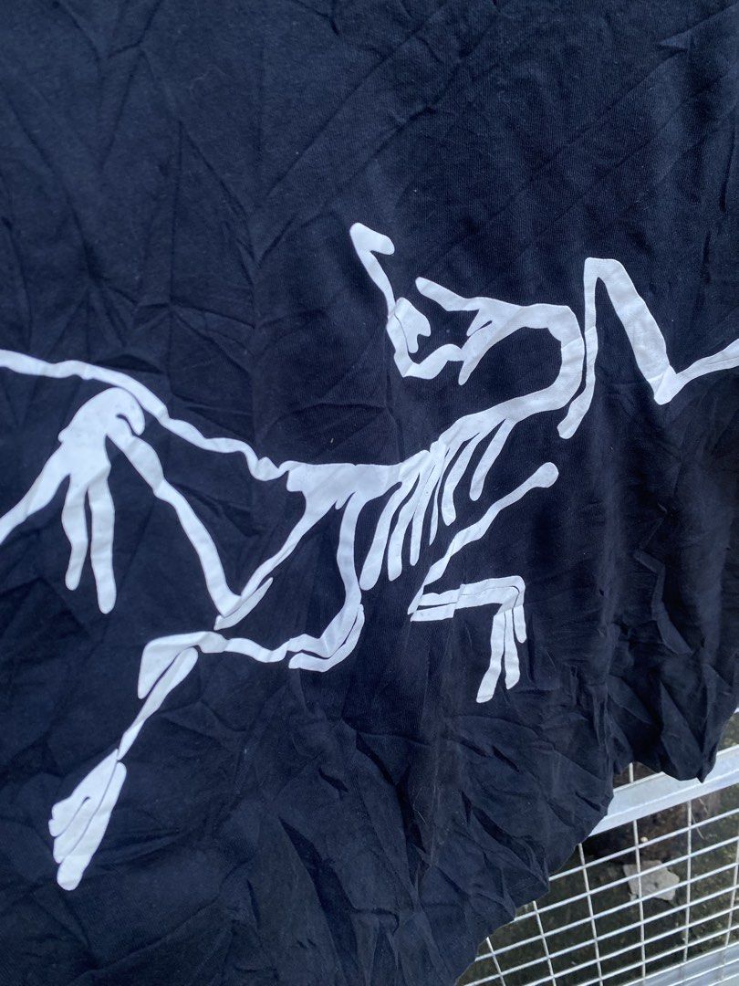 Arcteryx Big logo boxy type (Category: Tshirts & Polo Shirts ) located in Lupao. Submitted by wongpriii (Listing ID 1468164666, Image 2). Description: 23x23 In great condition missing tags no crackprints .