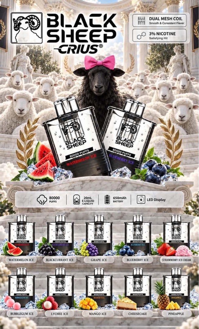 BLACK SHEEP TRANSPARENT PODS (Category: Looking For) located in Manila. Submitted by j3iii (Listing ID 1468105665, Image 1). Description: WHOLESALE ONLY MINIMUM 20pcx.