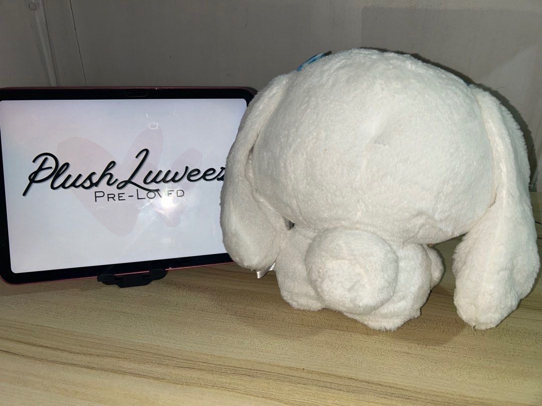 Cinnamoroll Hug a Bear Plushie (Category: Plushies & Soft Toys) located in Calamba. Submitted by plushluweez (Listing ID 1468094453, Image 3). Description: Cinnamoroll Hug a Bear Plushie 🧸 - 10/10 Like new! -super fluffy -medium sized 📍Loc: Laguna PAYO, GCash / Maya / Maribank.