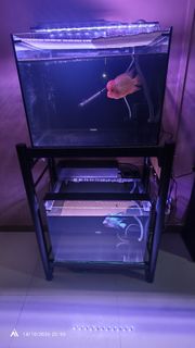 (Category: ) located in . Submitted by saharikin (Listing ID 1468085341, Image 1). Description: .