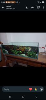 Fish Tank, Sports Equipment, Fishing on Carousell