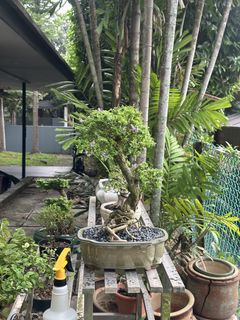 (Category: ) located in . Submitted by avolite (Listing ID 1465583690, Image 1). Description: .
