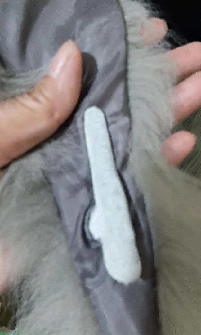 Fox Fur Scarg (Category: Scarves) located in Manila. Submitted by royalphoenix-0ea9 (Listing ID 1468163731, Image 3). Description: length:137 cm width: 9.5 cm.