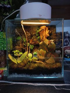 (Category: ) located in . Submitted by leiandre_29 (Listing ID 1468245427, Image 1). Description: .