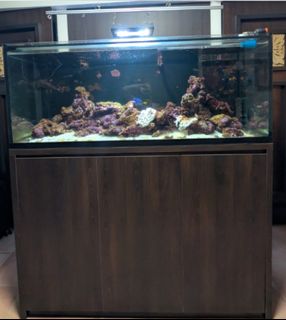 (Category: ) located in . Submitted by surtina.1 (Listing ID 1468197890, Image 1). Description: .