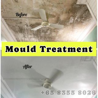 MOULD Treatment  收藏品 2