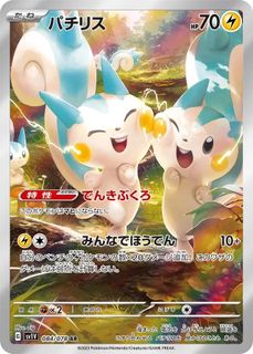 Pokemon Cards/ Slabs 收藏品 1