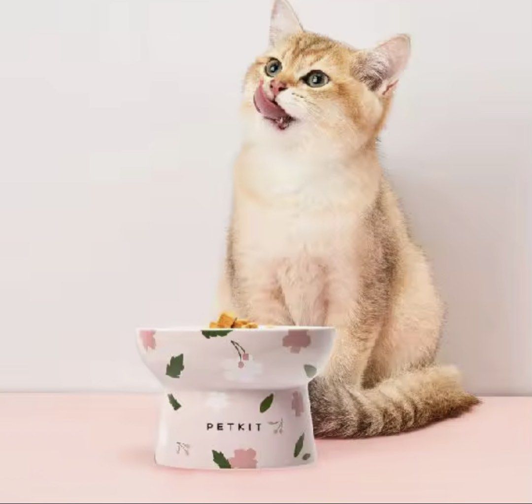 PETKIT Elevated Ceramic Cat / Dog Bowl (Category: Homes & Other Pet Accessories) located in Manila. Submitted by floraltones (Listing ID 1468123594, Image 2). Description: Super cute & elevated bowl that’s perfect for your pet 💜.