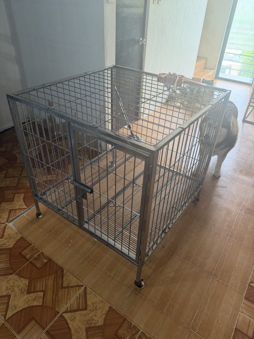 Stainless Steel Cage For Large Dogs (Category: Homes & Other Pet Accessories) located in Paranaque City. Submitted by oommggg (Listing ID 1468073318, Image 3). Description: This the cage of my old dog Siberian Husky. She’s gone now. Stainless Steel .