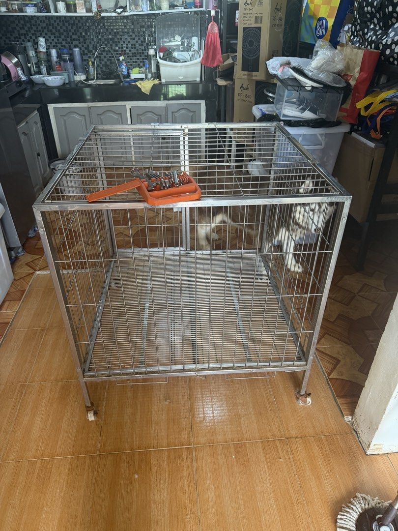 Stainless Steel Cage For Large Dogs (Category: Homes & Other Pet Accessories) located in Paranaque City. Submitted by oommggg (Listing ID 1468073318, Image 2). Description: This the cage of my old dog Siberian Husky. She’s gone now. Stainless Steel .