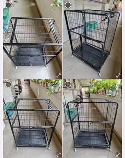 (Category: ) located in . Submitted by petstyle888 (Listing ID 1465544640, Image 1). Description: .
