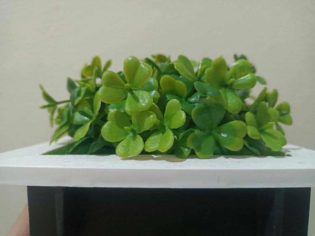 3D Frame with Artificial Plants - Wall decor C (Category: Wall Decor) located in Davao. Submitted by lotispreloved (Listing ID 1468478876, Image 3). Description: light weight frame can use double adhesive tape add closely other 3D Frames..