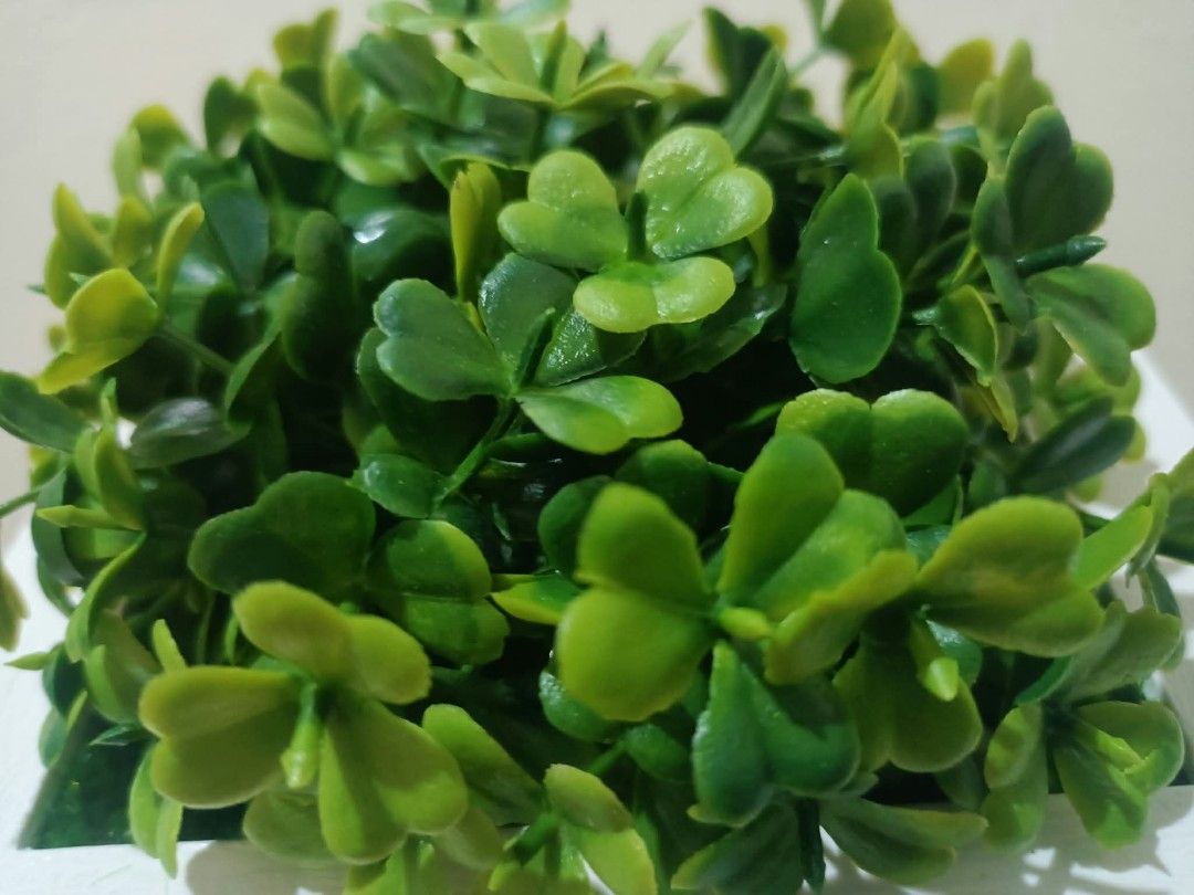 3D Frame with Artificial Plants - Wall decor C (Category: Wall Decor) located in Davao. Submitted by lotispreloved (Listing ID 1468478876, Image 2). Description: light weight frame can use double adhesive tape add closely other 3D Frames..