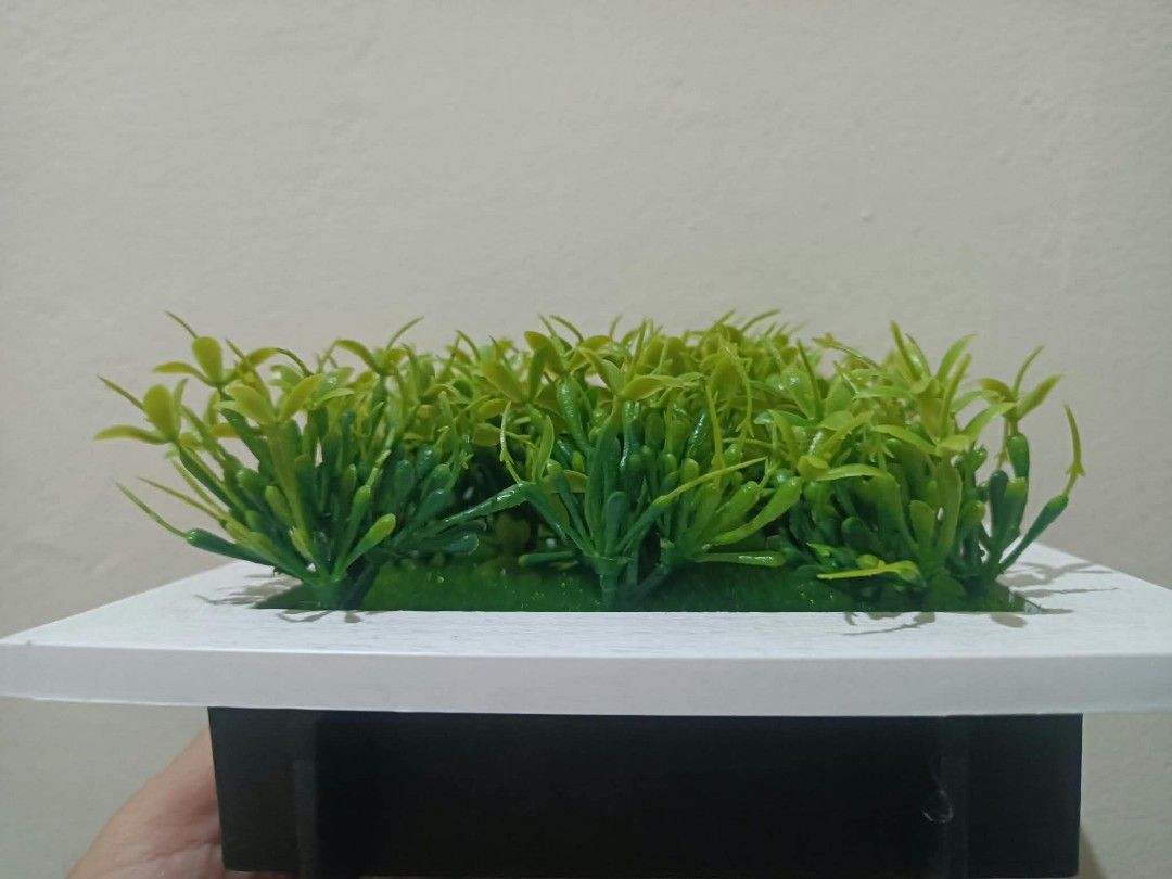 3D Frame with Artificial plants - Wall decor D (Category: Frames & Pictures) located in Davao. Submitted by lotispreloved (Listing ID 1468478948, Image 3). Description: light weight frame can use double adhesive tape add closely other 3D Frames..