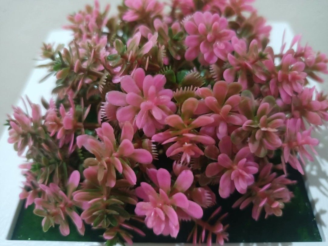 3D Frame with Artificial plants - Wall decor F (Category: Artificial Plants & Flowers) located in Davao. Submitted by lotispreloved (Listing ID 1468479067, Image 2). Description: light weight frame can use double adhesive tape add closely other 3D Frames..