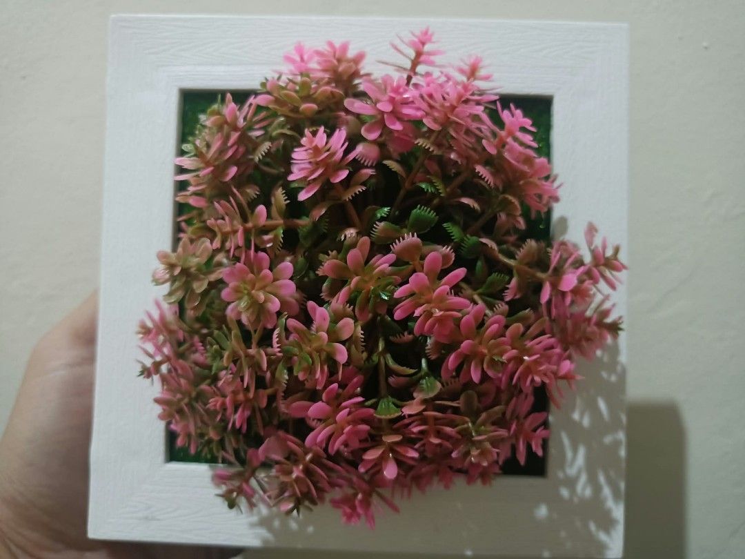3D Frame with Artificial plants - Wall decor F (Category: Artificial Plants & Flowers) located in Davao. Submitted by lotispreloved (Listing ID 1468479067, Image 1). Description: light weight frame can use double adhesive tape add closely other 3D Frames..