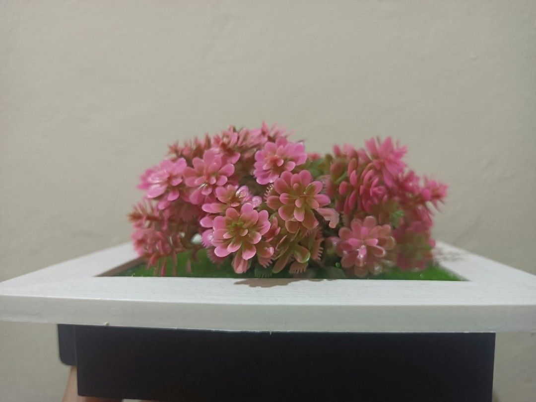 3D Frame with Artificial plants - Wall decor F (Category: Artificial Plants & Flowers) located in Davao. Submitted by lotispreloved (Listing ID 1468479067, Image 3). Description: light weight frame can use double adhesive tape add closely other 3D Frames..