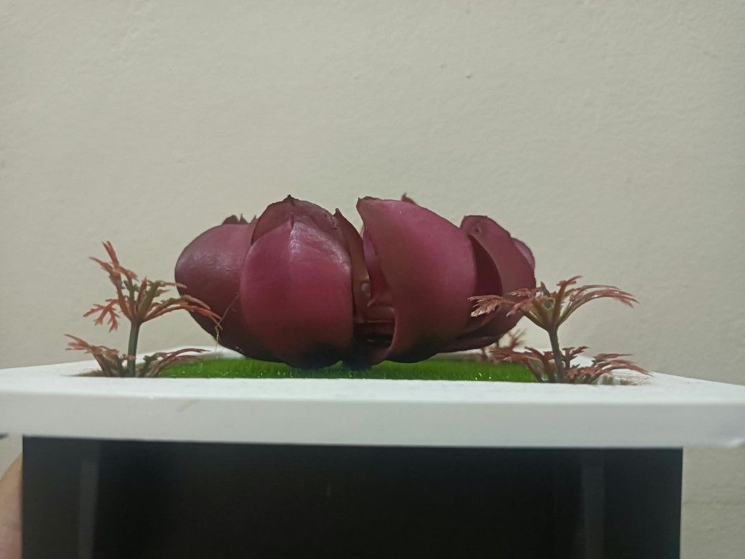 3D Frame with Artificial plants - Wall decor G (Category: Frames & Pictures) located in Davao. Submitted by lotispreloved (Listing ID 1468479155, Image 3). Description: .