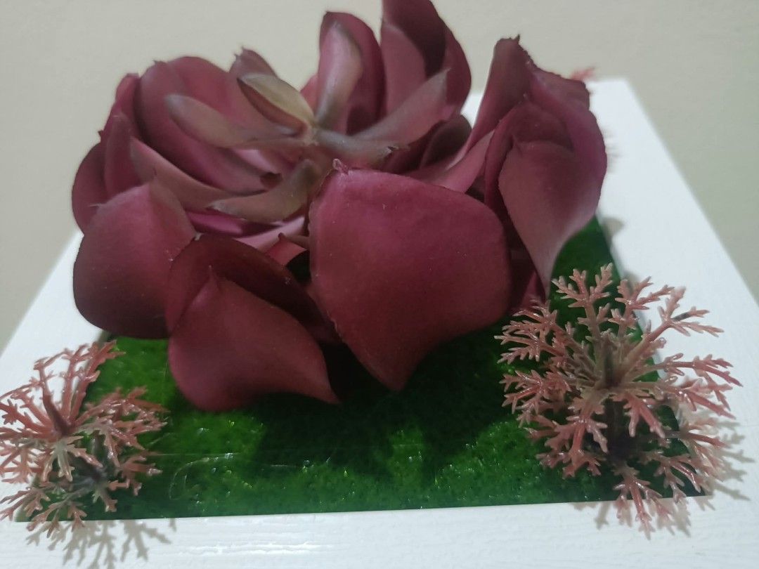 3D Frame with Artificial plants - Wall decor G (Category: Frames & Pictures) located in Davao. Submitted by lotispreloved (Listing ID 1468479155, Image 2). Description: .