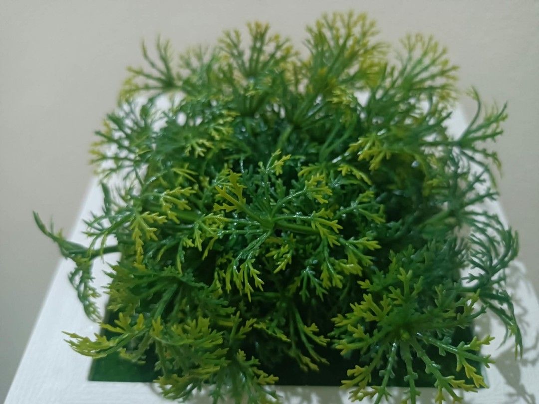 3D Frame with Artificial plants - Wall decor H (Category: Artificial Plants & Flowers) located in Davao. Submitted by lotispreloved (Listing ID 1468479196, Image 2). Description: light weight frame can use double adhesive tape add closely other 3D Frames..
