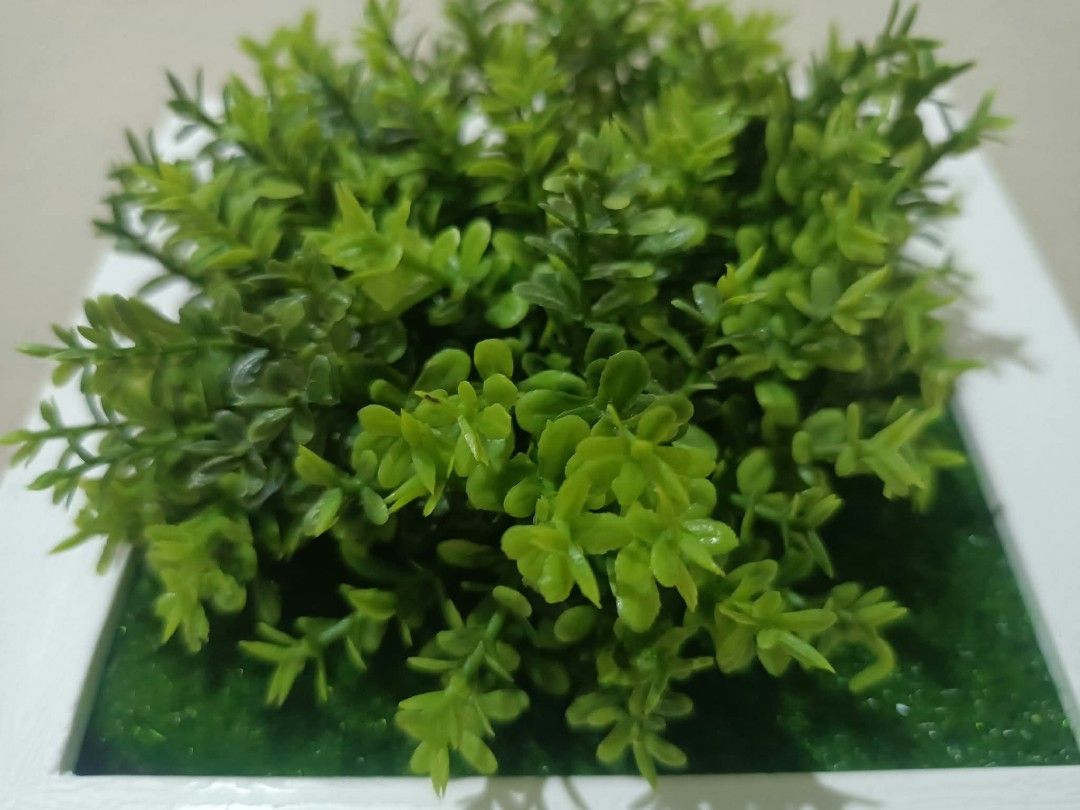 3D Frame with Artificial plants - Wall decor I (Category: Wall Decor) located in Davao. Submitted by lotispreloved (Listing ID 1468479218, Image 2). Description: light weight frame can use double adhesive tape add closely other 3D Frames..