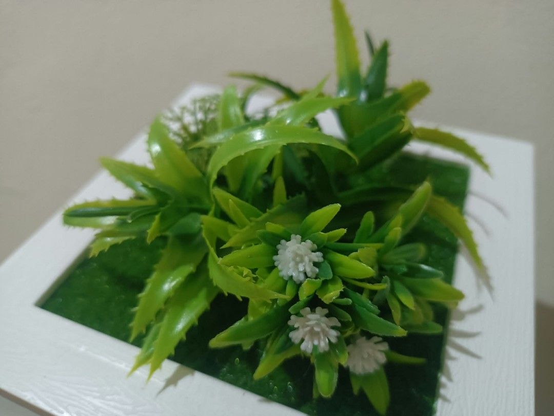 3D Frames with artificial plants - Wall decor A (Category: Artificial Plants & Flowers) located in Davao. Submitted by lotispreloved (Listing ID 1468478765, Image 2). Description: light weight frame can use double adhesive tape add closely other 3D Frames..