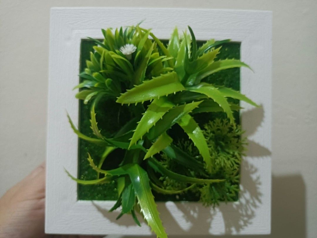 3D Frames with artificial plants - Wall decor A (Category: Artificial Plants & Flowers) located in Davao. Submitted by lotispreloved (Listing ID 1468478765, Image 1). Description: light weight frame can use double adhesive tape add closely other 3D Frames..