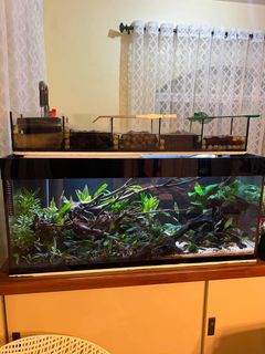 (Category: ) located in . Submitted by yvsglrne (Listing ID 1468446411, Image 1). Description: .