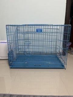 （分類：）位於 。 由 angelip.ist 提交（商品編號 1468387737，圖片 1）。簡介： 。