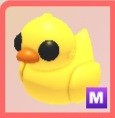 (Category: ) located in . Submitted by quenzychan (Listing ID 1468371123, Image 1). Description: .