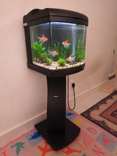 (Category: ) located in . Submitted by zall1990 (Listing ID 1468292400, Image 1). Description: .
